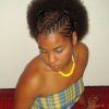 Afro Under Braid Hairstyles (Photo 20 of 25)