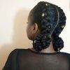 Two Braids In One Hairstyles (Photo 17 of 25)