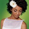Wedding Hairstyles For Natural African American Hair (Photo 8 of 15)