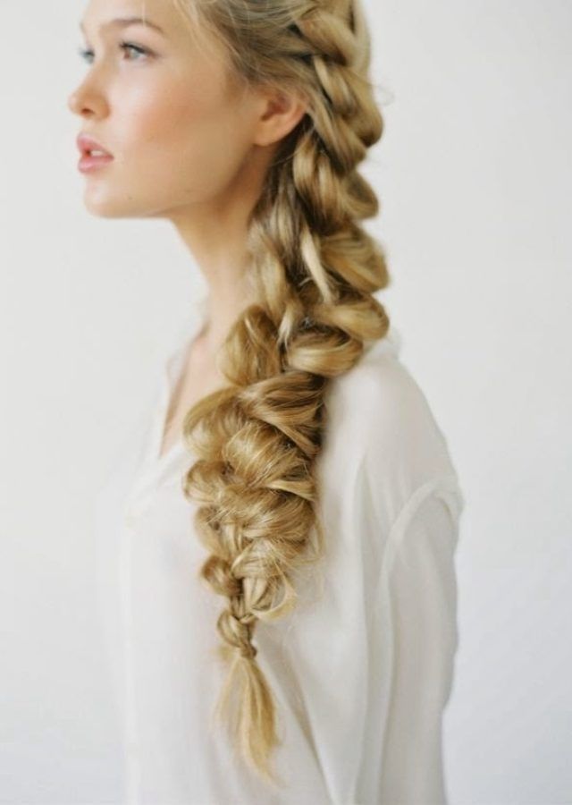 Top 15 of Braided Glam Hairstyles