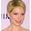 Short Short Haircuts For Round Faces (Photo 13 of 25)