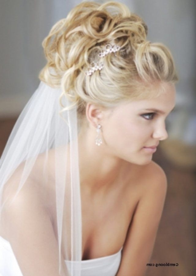 2024 Latest Wedding Updos for Long Hair with Veil