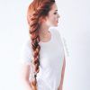 Double Rapunzel Side Rope Braid Hairstyles (Photo 21 of 25)