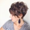 Long Pixie Hairstyles For Curly Hair (Photo 15 of 15)