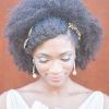 Medium Hairstyles For Afro Hair (Photo 1 of 15)