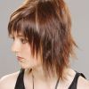 Straight Mid-Length Chestnut Hairstyles With Long Bangs (Photo 9 of 25)