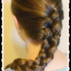 Lattice-Weave With High-Braided Ponytail (Photo 4 of 15)