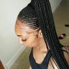 Cornrow Ombre Ponytail Micro Braid Hairstyles (Photo 6 of 25)