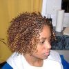 Curly And Messy Micro Braid Hairstyles (Photo 16 of 25)