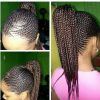 Micro Cornrows Hairstyles (Photo 7 of 15)