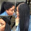 Twists Micro Braid Hairstyles With Curls (Photo 5 of 25)