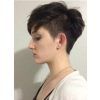 High Pixie Asian Hairstyles (Photo 14 of 25)