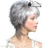 Short Shaggy Hairstyles For Grey Hair (Photo 11 of 15)