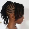 Braided Hairstyles In A Mohawk (Photo 9 of 15)
