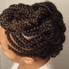 Mohawk Braided Hairstyles (Photo 15 of 15)