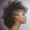 Side Braided Curly Mohawk Hairstyles (Photo 6 of 25)