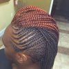 Mohawk Hairstyles With Multiple Braids (Photo 2 of 25)