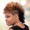 Side Braided Curly Mohawk Hairstyles (Photo 17 of 25)