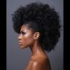 Afro Mohawk Hairstyles For Women (Photo 7 of 25)