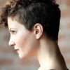Pixie Mohawk Haircuts For Curly Hair (Photo 7 of 25)