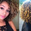 Brown Curly Hairstyles With Highlights (Photo 5 of 25)