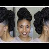 Twisted Faux Hawk Updo Hairstyles (Photo 8 of 25)