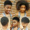 Black Women Natural Short Haircuts (Photo 15 of 25)