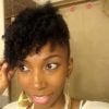 Updo Twist Out Hairstyles (Photo 8 of 15)