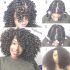 2024 Best of Medium Hairstyles for Natural Black Hair
