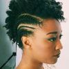 Pouf Braided Mohawk Hairstyles (Photo 19 of 25)