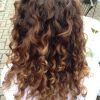 Brown Curly Hairstyles With Highlights (Photo 3 of 25)