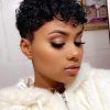 Short Haircuts For Naturally Curly Black Hair (Photo 10 of 25)