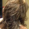 Hairstyles For Long Hair With Short Layers (Photo 1 of 25)