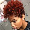 Tapered Brown Pixie Hairstyles With Ginger Curls (Photo 5 of 25)