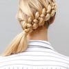 Braid Hairstyles For Long Hair (Photo 5 of 15)