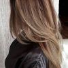 Balayage Hairstyles For Long Layers (Photo 8 of 25)