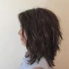 Volume And Shagginess Hairstyles (Photo 22 of 25)