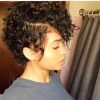 Pixie Mohawk Haircuts For Curly Hair (Photo 4 of 25)
