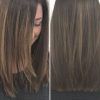 Shoulder Length Straight Haircuts (Photo 8 of 25)