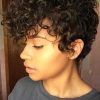 Pixie Mohawk Haircuts For Curly Hair (Photo 10 of 25)
