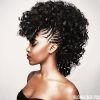 Faux Mohawk Hairstyles With Natural Tresses (Photo 5 of 25)