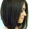 Rounded Sleek Bob Hairstyles With Minimal Layers (Photo 9 of 25)