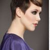 Pixie Haircuts With Tapered Sideburns (Photo 6 of 25)