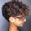 Pixie Haircuts With Tight Curls (Photo 1 of 25)