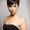 Chic And Elegant Pixie Haircuts (Photo 14 of 25)