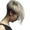Sculptured Long Top Short Sides Pixie Hairstyles (Photo 5 of 25)
