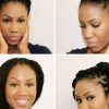 Pinned Up Braided Hairstyles (Photo 12 of 15)