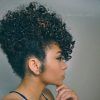 Natural Curly Updo Hairstyles (Photo 8 of 15)