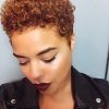 Tapered Brown Pixie Hairstyles With Ginger Curls (Photo 2 of 25)
