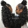 Highlighted Afro Curls Ponytail Hairstyles (Photo 6 of 25)